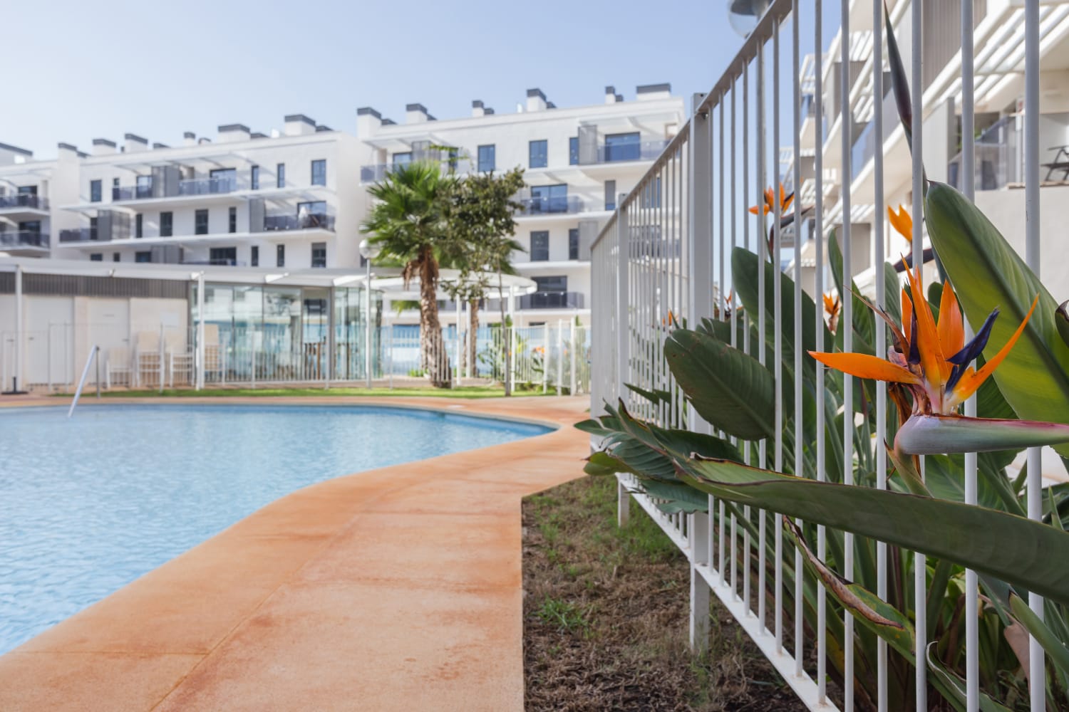 W-444 - Aparment mit Garten und Pool - nahe Strand und Stadtzentrum Denia