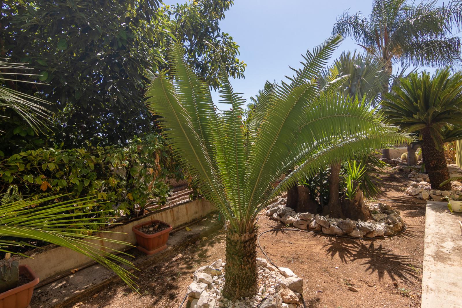 W-479 - Villa mit zwei unabhängigen Wohnungen und Schwimmbad in Tormos, nahe Denia.